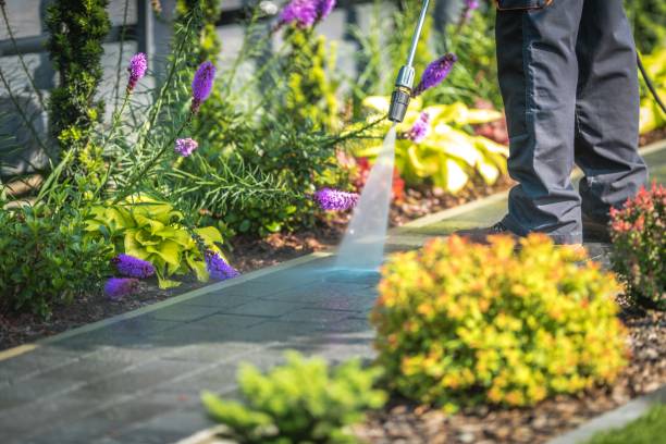 Best Pre-Holiday Cleaning  in Hammond, WI