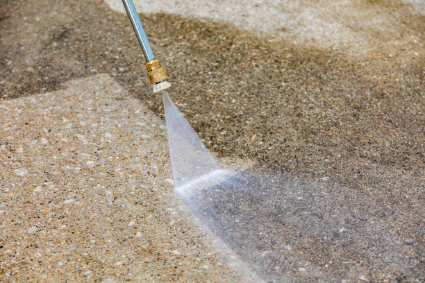 Best Dumpster Area Cleaning  in Hammond, WI