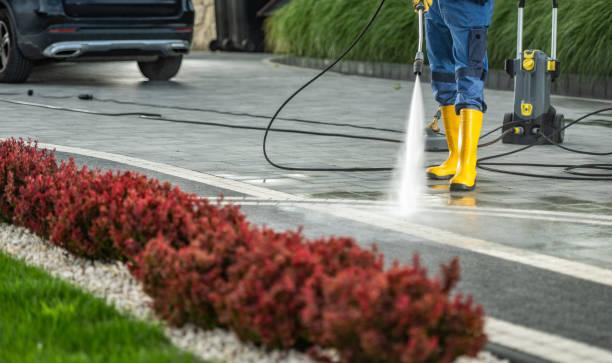 Best Fence Cleaning  in Hammond, WI